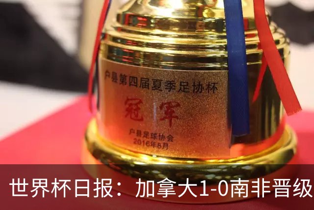 世界杯日报：加拿大1-0南非晋级创历史 韩国主帅洪明甫下课