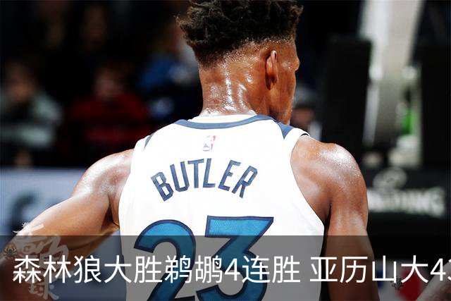 森林狼大胜鹈鹕4连胜 亚历山大43分雷霆克骑士